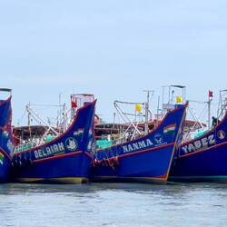 Tour boats lined up near the Brunton Boatyard Hotel — Kochi, India.