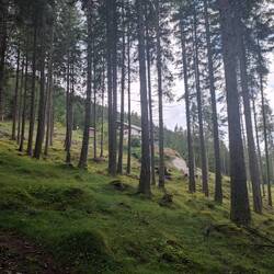 Sonnenstein Gasthof