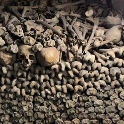 Paris Catacombs.