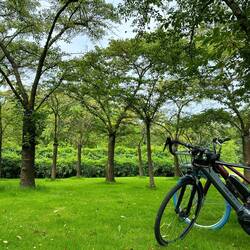 Picnic at Amsterdamse Bos