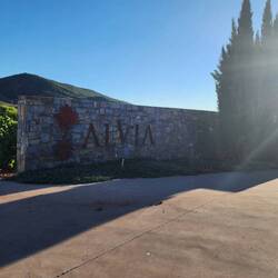 The restaurant owner's winery