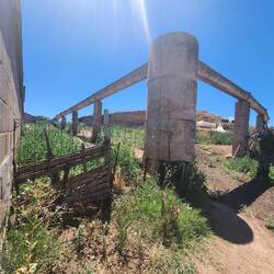 I was getting a bit of shade from the wall & this was around the corner (stinky)