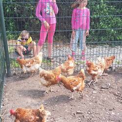 Allerlei Tiere zu sehen...