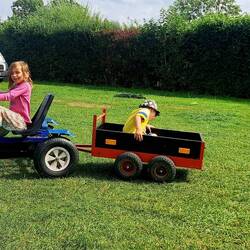 Dir erwähnten "Chärrelis"....