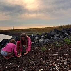 Meer Besichtigung und Muscheln suchen....