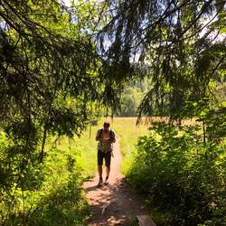 Beerensammler 🍓🫐 ♥️ ...1,2,3,4...