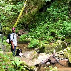 Geduldiges Warten auf die Fotografin