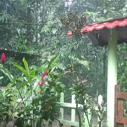 Selbst bei Regen ist es schön 😀