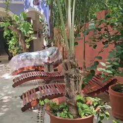 Das wunderschöne Le Muuch Hotel