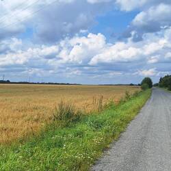 Und immer wieder durch die Felder und die Wälder