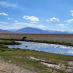 Heutiger Stellplatz etwas außerhalb von Alichur