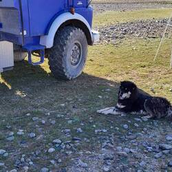 Wir haben auch wieder einen Bewacher