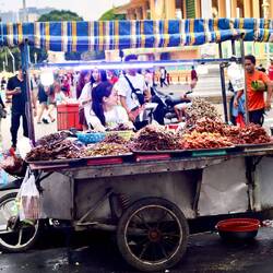 Einer von wahrscheinlich hunderten Streetfood Vehicle an diesem Tag.