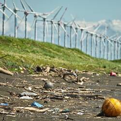 Windpark und Plastikstrand. Ja, auch in Japan gibt es diese Widersprüche.