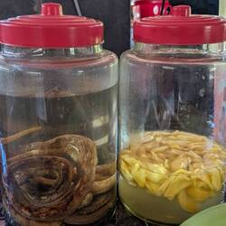 Snake and jackfruit rice wines!