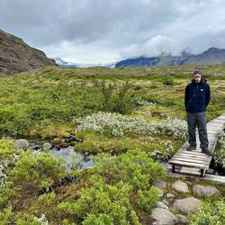 Glacier walk