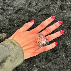 A big rock for Arushi!
