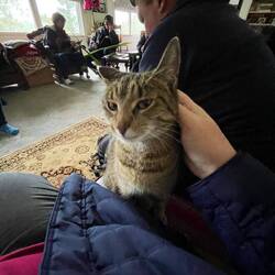Cat kept me company while I waited for everyone else to finish weaving