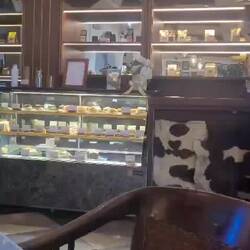 Café Batavia
