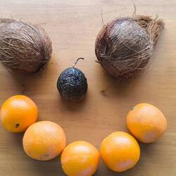 Unsere Lieblingsfrüchte: Kokosnuss 🥥, Maracuja und Orangen 🍊