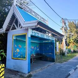 eine von vielen Bushaltestellen in Flic en Flac, allerdings sind nicht alle so schön bunt 🎨