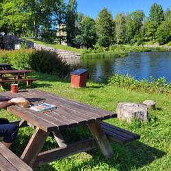 Picknick an wunderschönem Plätzchen mit herrlichem Lachs!