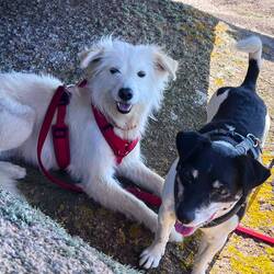 23 Grad und es ist schon ganz schön warm