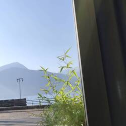 Frühstück am See