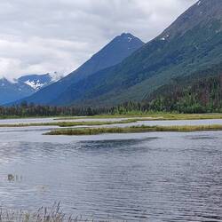 Tern Lake