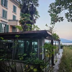 Palmen 🌴 wachsen vom Restaurant zum Dach hinaus...