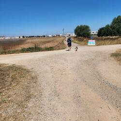 Chooki, the dog, is 11 years old and this is her 2nd camino