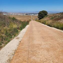 Down the level stone path- this is hard on the toes