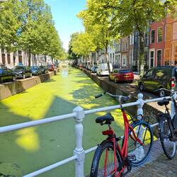 In Delft