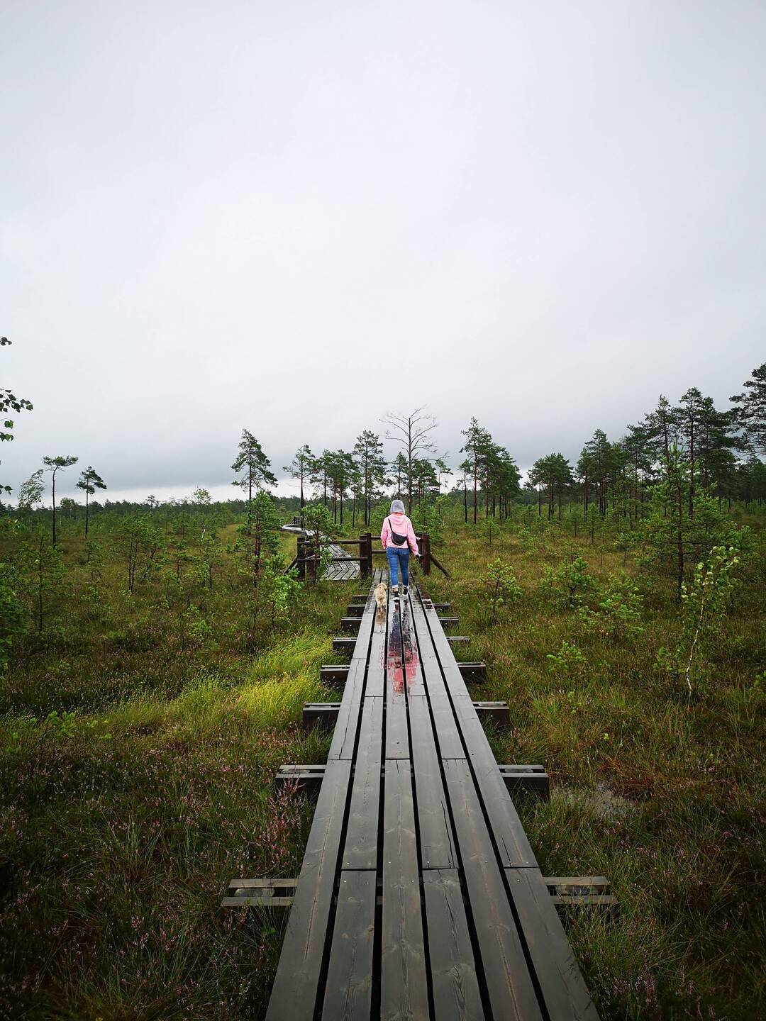 On the Kangeri Trail