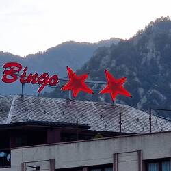 BINGO BINGO BINGO