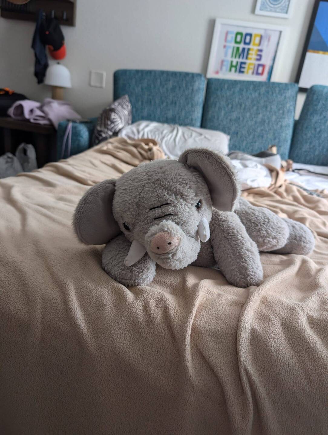 Phanpy posing for his photo