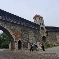 Stadtmauer mit Stadttor