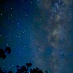 Night skies