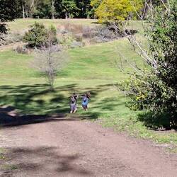 Leigh & Keith bring back the wood (everyday)