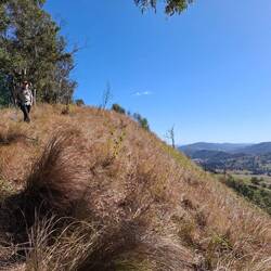 2/3 way up the Ridge