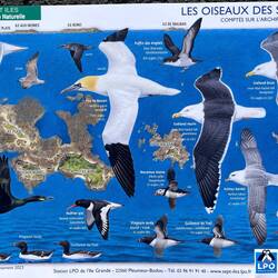 Alle diese Vögel kann man hier sehen