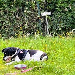 Ruby ist happy, dass wir wieder da sind.