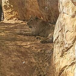 Dieser hier war aber echt und lebendig 😃