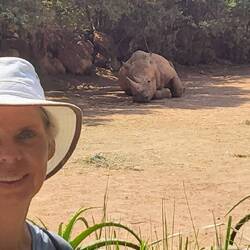 Ohne Zaun dazwischen wäre das schon ein hohes Angstpotential! Bis zu 4 to bringen die auf die Waage!