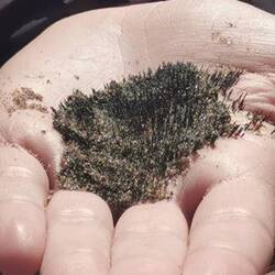 So viel Metall ist im Sand der Namib!