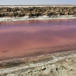 Die Farbe des Wassers erklärt das Rosa der Flamingos!