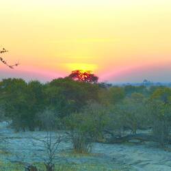 Sunrise in Savuti