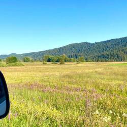 Moorlandschaft in Rothenthurm