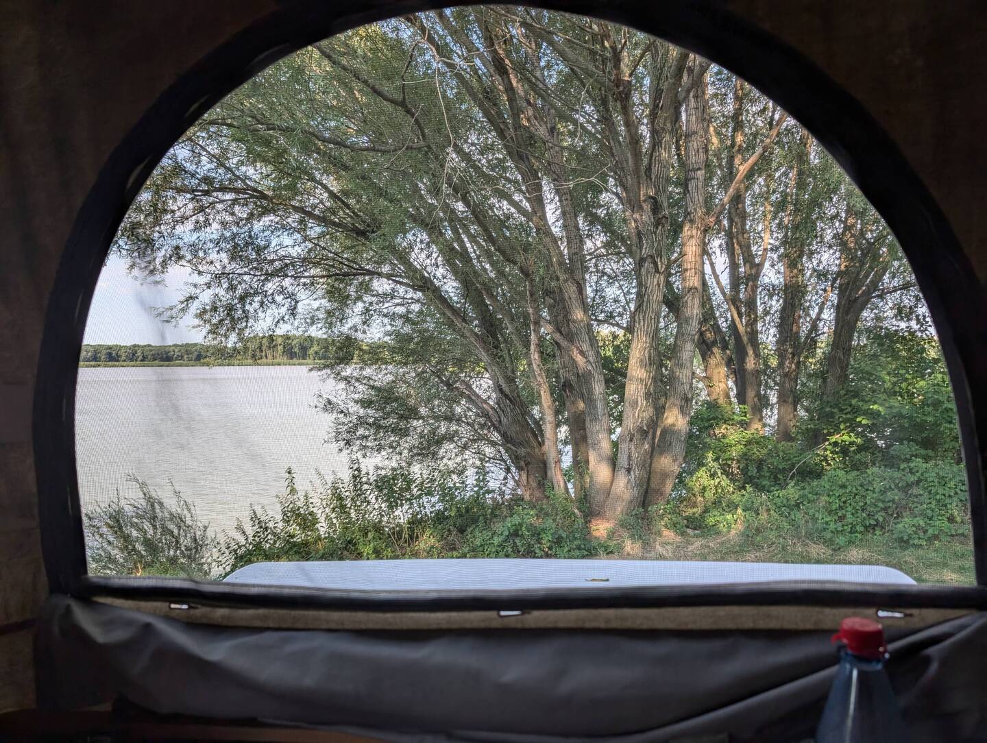 Morgendlicher Ausblick auf die Donau