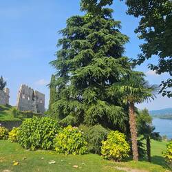 Aussicht vom Parc della Rocca Borromea in Arona